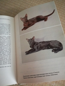 Атлас кошек (3 фото из 3)