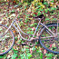 Старинный велосипед (фото #1)