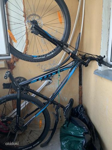 Heas korras jalgratas Tallinn, Jalgrattad täiskasvanutele – okidoki