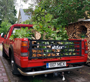 ISUZU 2,3 bens kastikas pikap pickup (4 foto / 8)