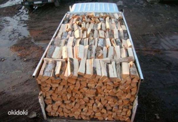 Сухие дрова (фото #2)
