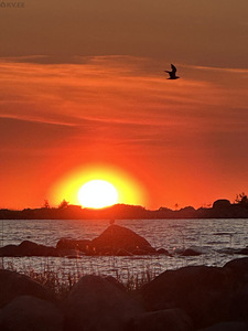 Oru-Mihkli, Pärispea, Kuusalu vald, Harjumaa (31 foto / 35)