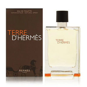 Hermes Terre D Hermes EDT 100ml