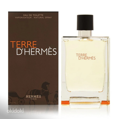 Hermes Terre D Hermes EDT 100ml (foto #1)