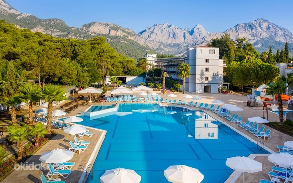 ALDER GARDEN HOTEL