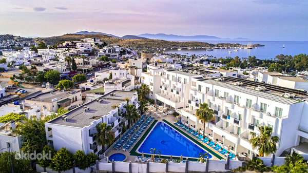 SHARK CLUB HOTEL