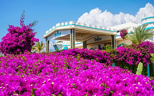 DAIMA BIZ HOTEL (2 foto / 10)