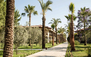 TUI BLUE PALM GARDEN (EX IBEROTEL PALM GARDEN) (6 foto / 10)