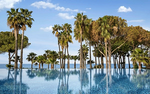ACANTHUS CENNET BARUT COLLECTION (10 foto / 10)