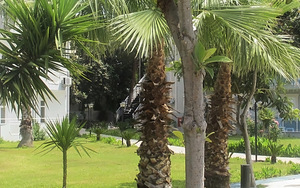 MARINEZ HOTEL (EX RIOS LATTE BEACH) (7 foto / 10)