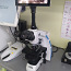 Levenhuk MED 45T Trinocular Microscope (фото #1)