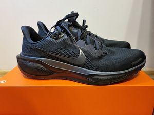 NIKE PEGASUS JOOKSUKINGAD (2 foto / 5)