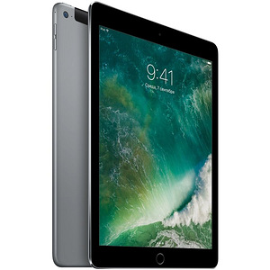 iPad Air 2, 64 GB Wi-Fi + Cellular (4G) · Space Gray