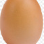 Яйца куриные (фото #1)