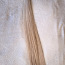 Slaavi juuksed Luksuslik kvaliteet (foto #1)