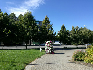 Kotka tn 1, Kristiine, Tallinn, Harjumaa (12 фото из 12)