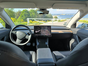Model 3 360 kw, 75kwh long range, dual motor performance (8 foto / 10)