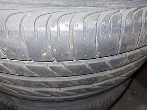 Suverehvid valuvelgedel (4 foto / 4)