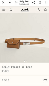 Hermes kelly pocket belt (1 foto / 5)
