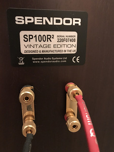 SPENDOR SP100R2 UUS HIND! (5 foto / 6)