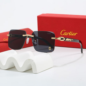 Uued päikeseprillid Cartier, Gucci, Prada, Versace, LV (1 foto / 8)
