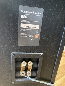 Põrandakõlar JBL Northridge E80 (2tk) (6 foto / 6)