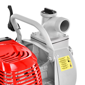 Bensiinimootoriga pump HECHT 343 (8 foto / 10)