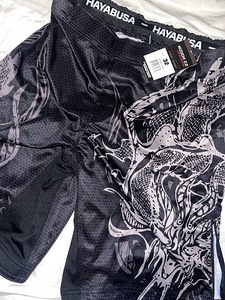 Rashguard HAYABUSA mizuchi 2.0 UUS (2 foto / 2)