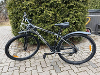 MTB Classic 29'' ALU jalgratas