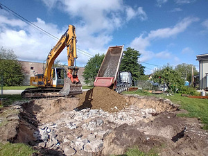 LAMMUTUSTÖÖD - LAMMUTUSTEENUSED (3 foto / 3)