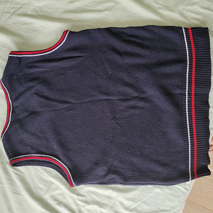 Tallinna humanitaargümnaasium vest (2 foto / 4)