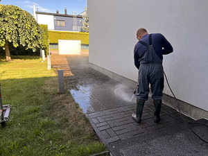 Tööd haljastuse alal (8 foto / 10)