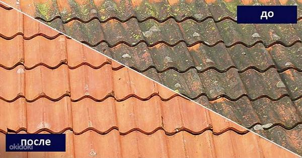 Чистка крыши, удаления мха, удаление лишайника (фото #2)