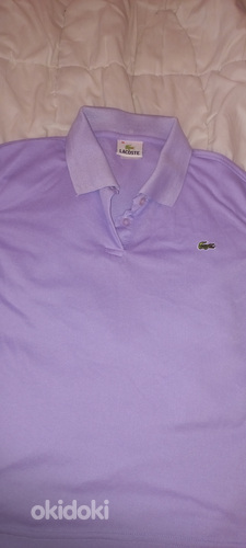 T särgid LACOSTE