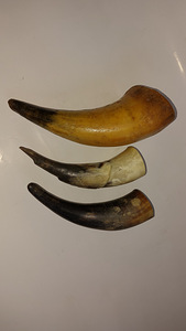 Sarved, kokku 3tk (1 foto / 1)
