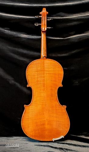 Скрипка Carl Willert Güstrow (фото #2)