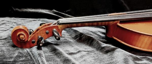 Скрипка label(?) "Paul Bailly Vuillaume de Paris 1901" (фото #8)