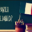 Итальянский язык с носителем (фото #1)
