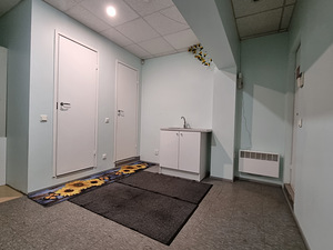 Veerenni tn 29, Kesklinna, Tallinn, Harjumaa (11 foto / 15)