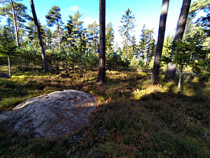 Merineitsi tee 8, Tahkuna, Hiiumaa vald, Hiiumaa (14 foto / 50)