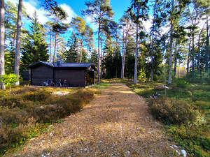 Merineitsi tee 8, Tahkuna, Hiiumaa vald, Hiiumaa (16 foto / 50)
