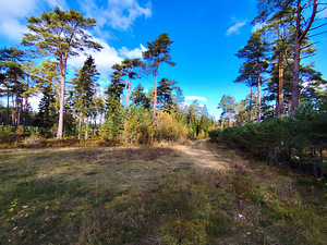 Merineitsi tee 8, Tahkuna, Hiiumaa vald, Hiiumaa (49 foto / 50)