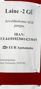 Laine tn 19, Kristiine, Tallinn, Harjumaa (3 foto / 3)