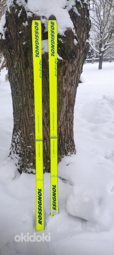 Горные лыжи Rossignol 198