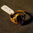 Золотое кольцо 500 проба (№L799) (фото #1)