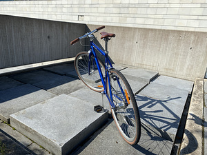 Jalgratas Fixie Excelsior Sputter (3 foto / 5)