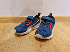 Puma tossud, 23 (1 foto / 5)
