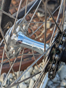 Dodici Gara fixed gear (3 foto / 5)