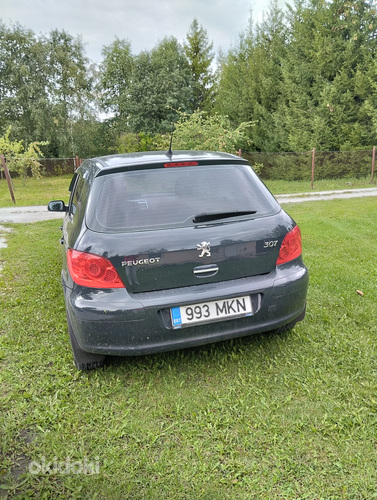 Peugeot 307 (foto #9)