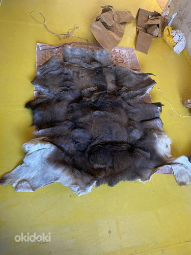 Продаётся лосиная шкура